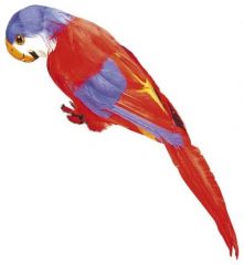 Papoušek ZELENÝ Atrapa